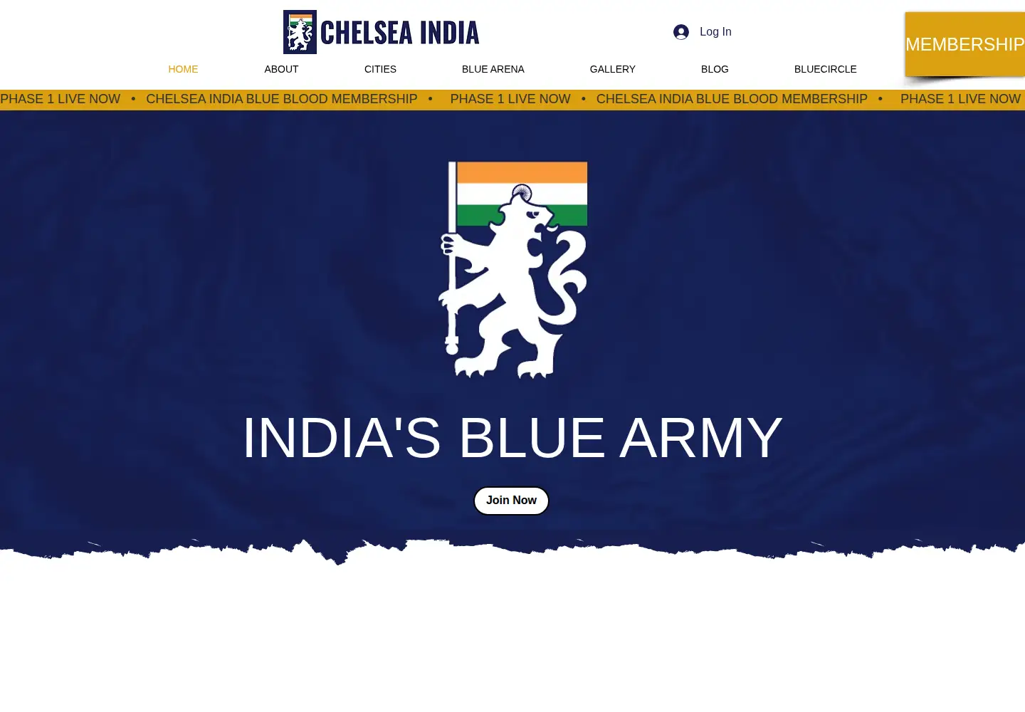 Captured homepage of chelseaindia.com in the current scan