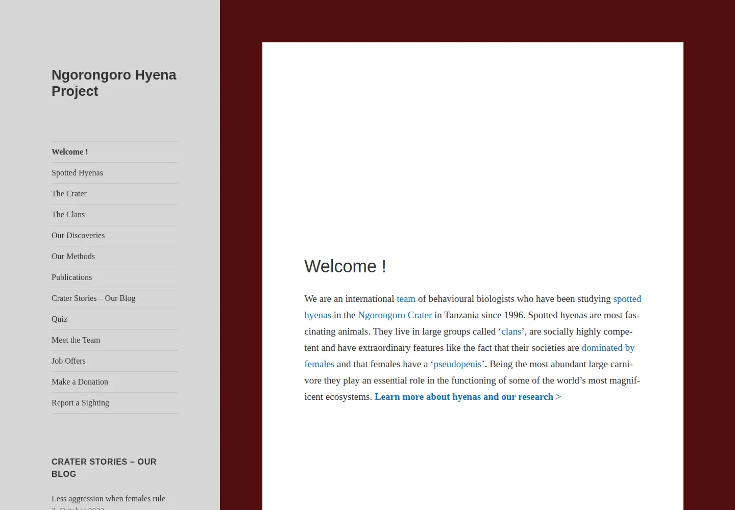 Captured homepage of hyena-project.com in the current scan