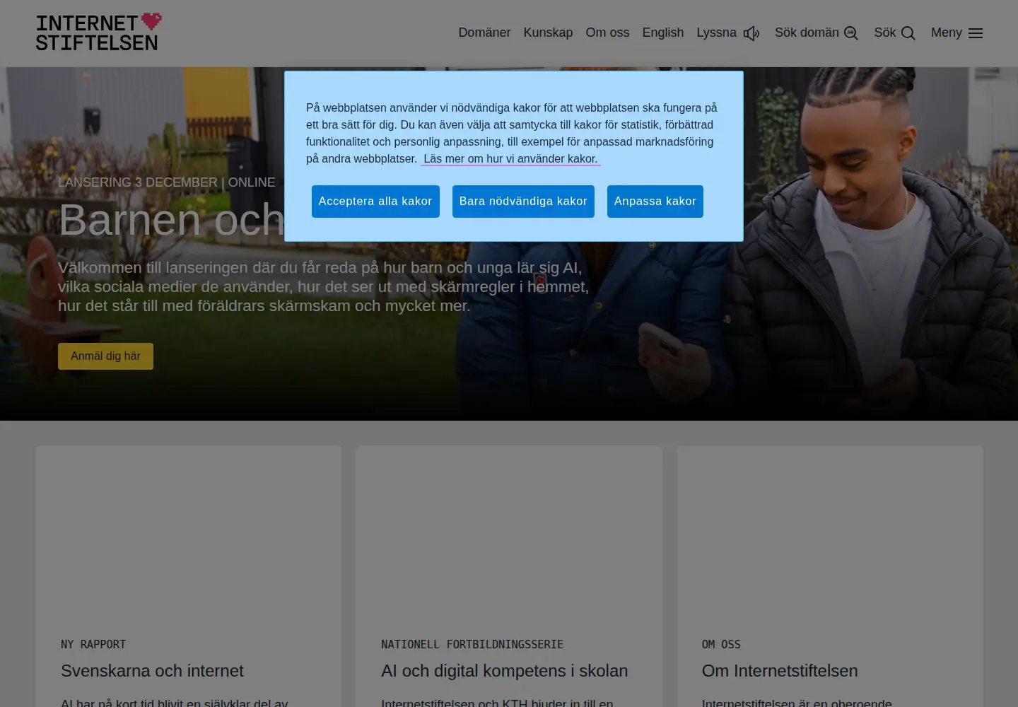 Screenshot of nic-se.se