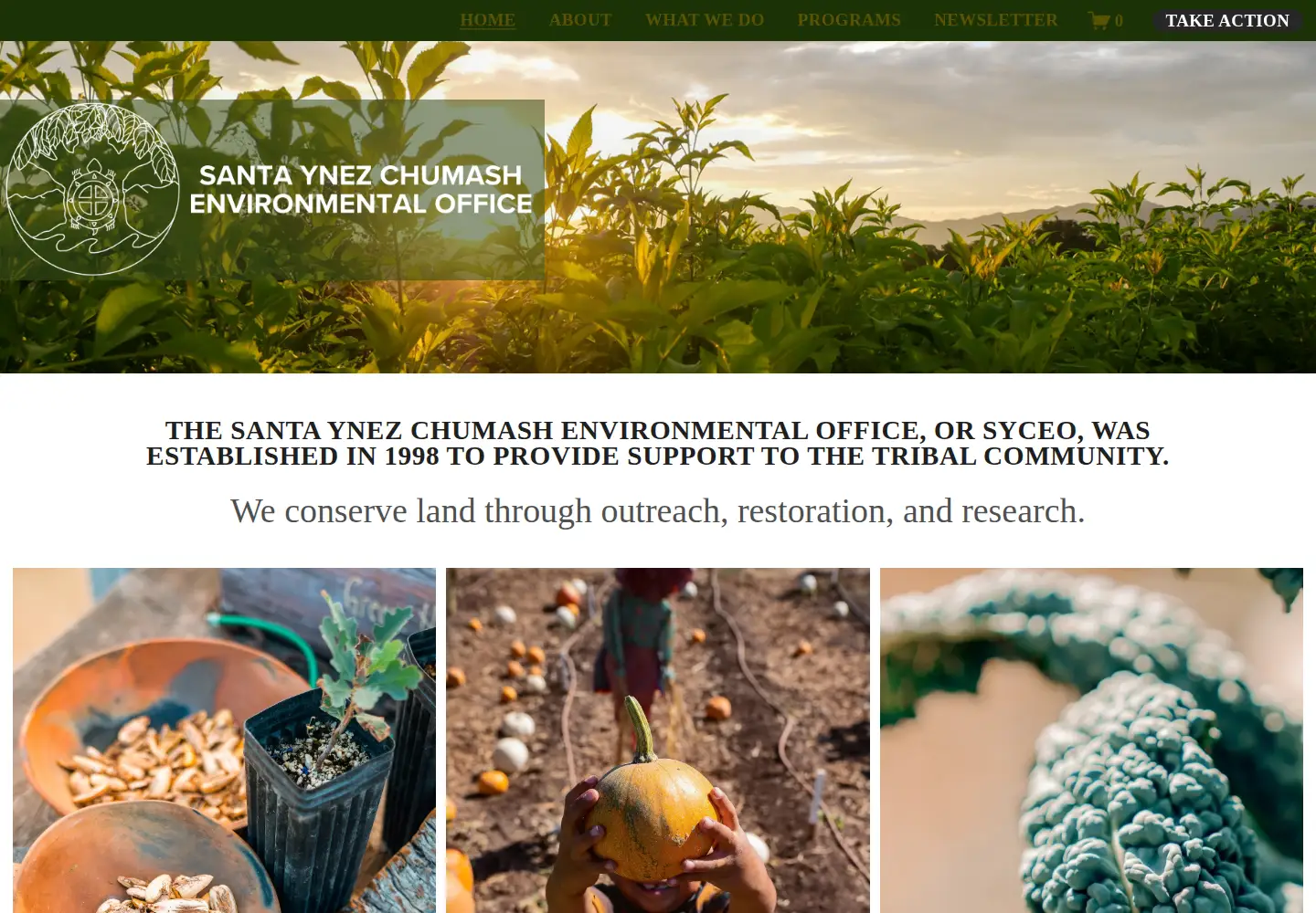 Captured homepage of syceo.org in the current scan