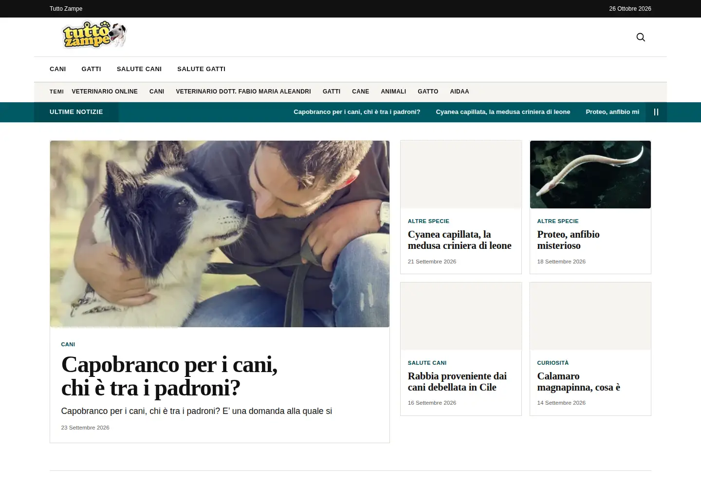 Screenshot of tuttozampe.com