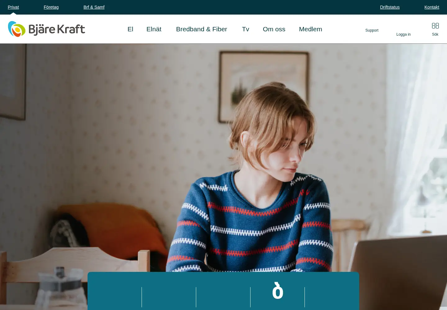 Captured homepage of bjarekraft.se in the current scan