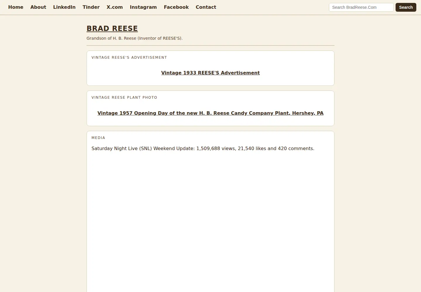 Captured homepage of bradreese.com in the current scan