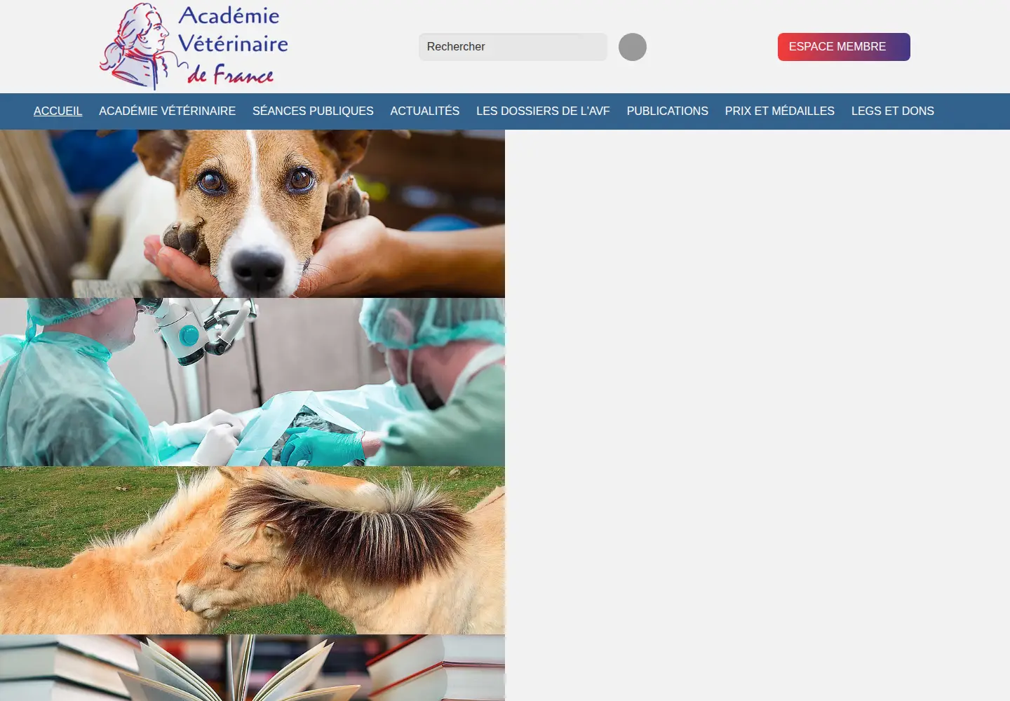 Screenshot of academie-veterinaire-defrance.org
