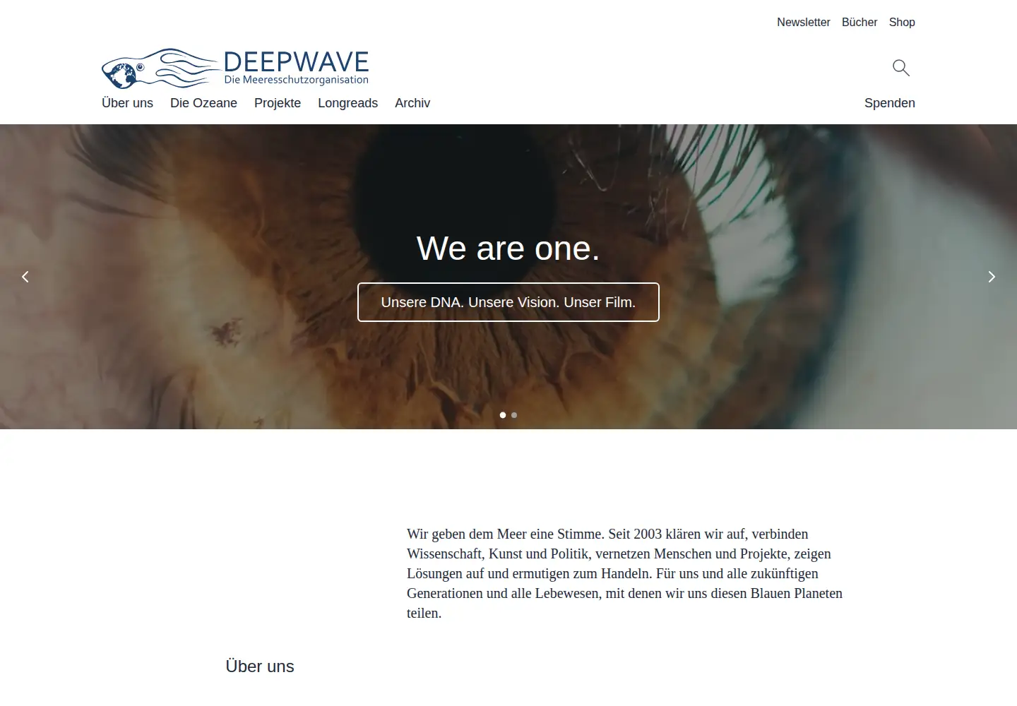 Captured homepage of deepwave.org in the current scan