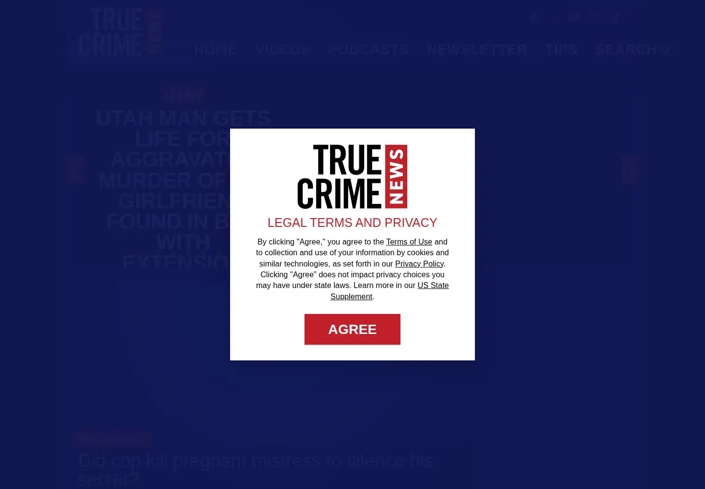 Captured homepage of crimewatchdaily.com in the current scan