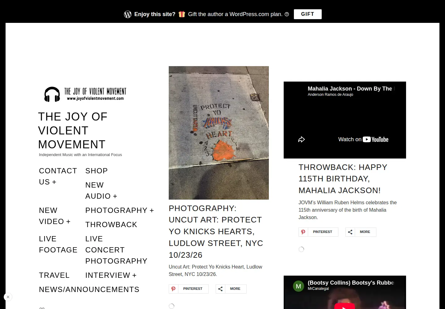 Captured homepage of joyofviolentmovement.com in the current scan