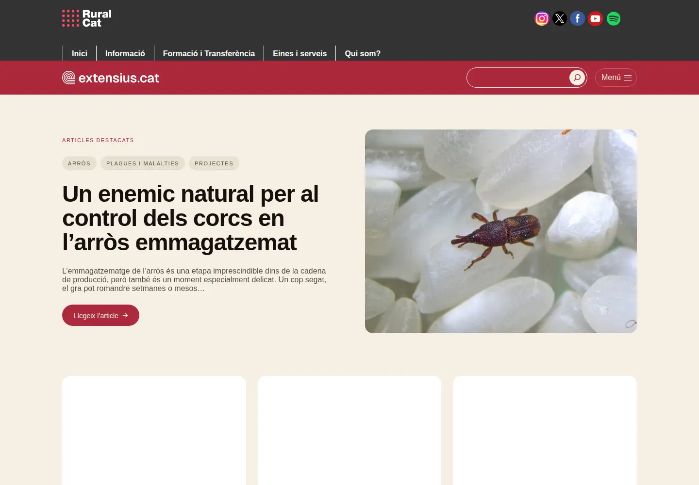 Screenshot of extensius.cat
