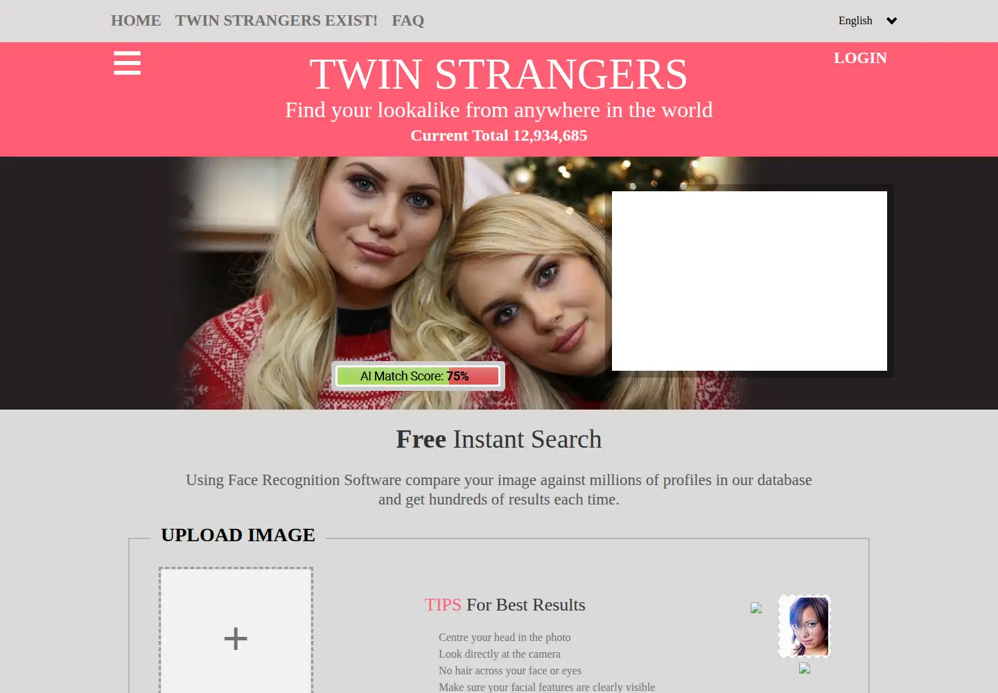 Screenshot of twinstrangers.net