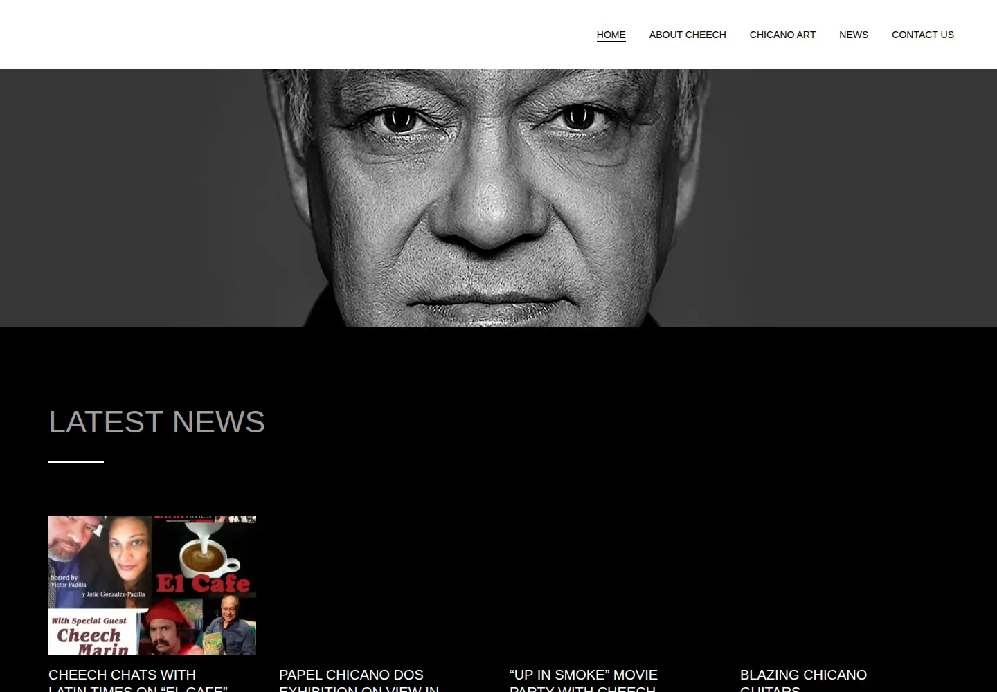 Captured homepage of cheechmarin.com in the current scan