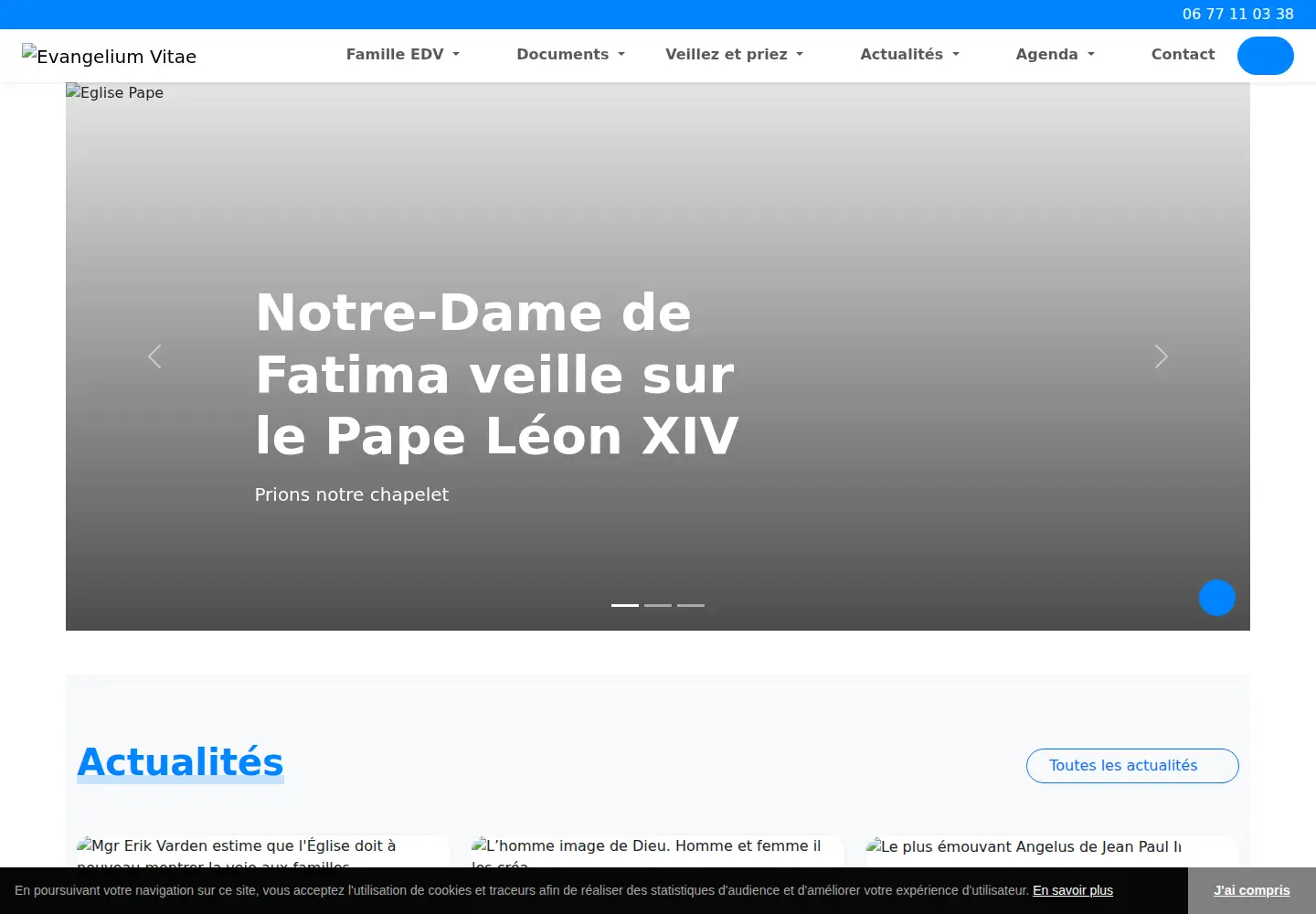 Screenshot of evangelium-vitae.org