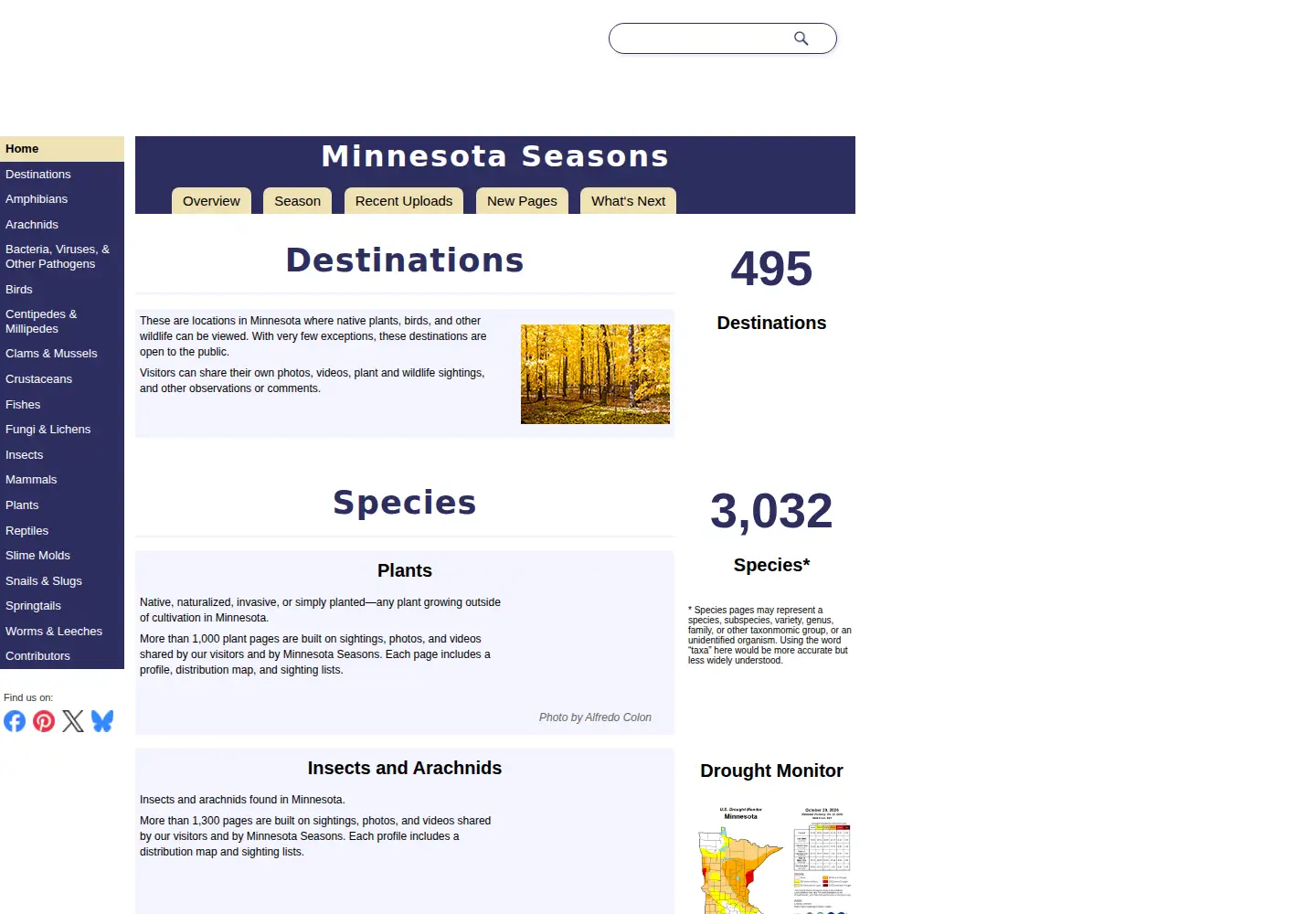 Captured homepage of minnesotaseasons.com in the current scan