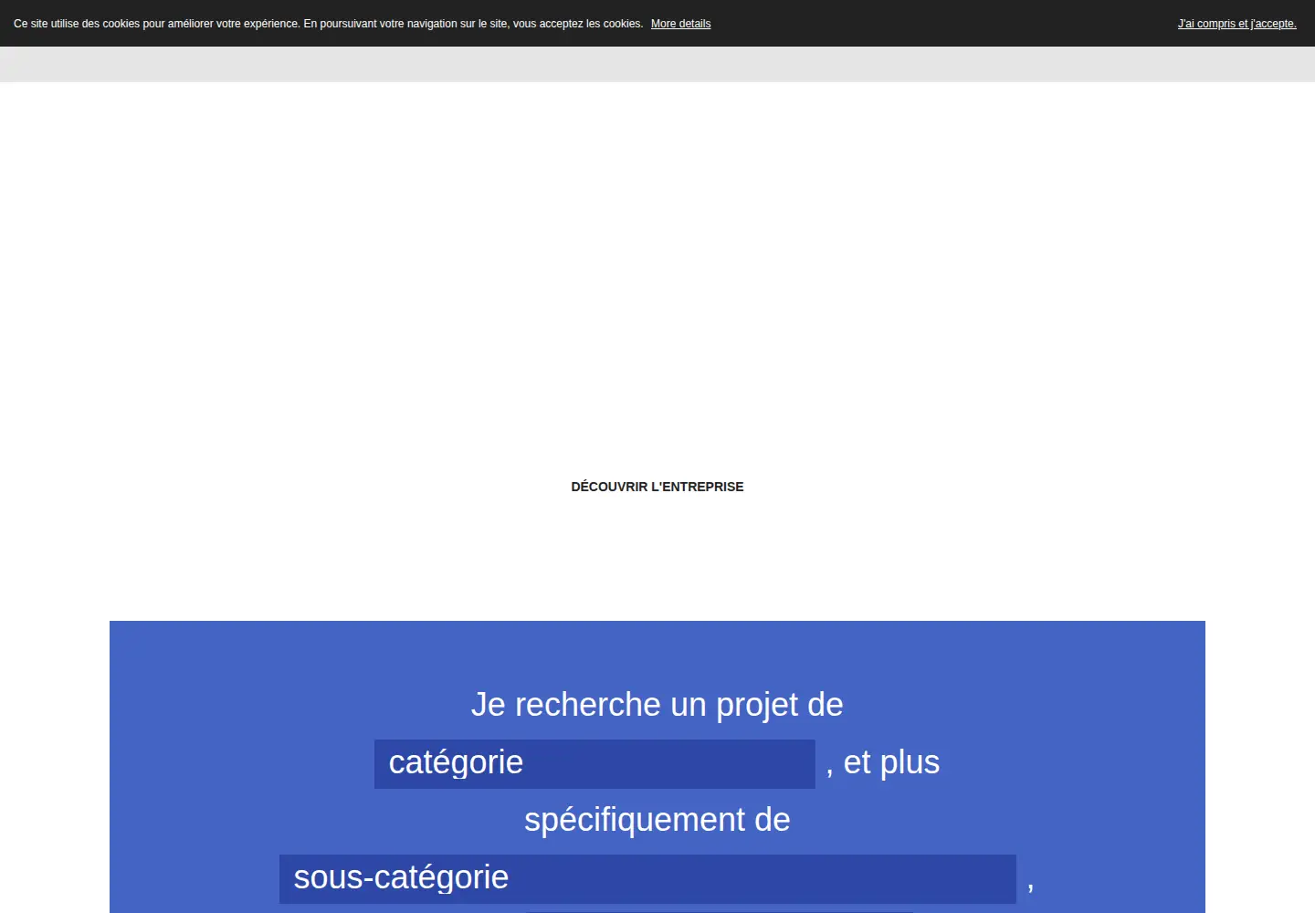 Screenshot of vinci-construction-projets.com