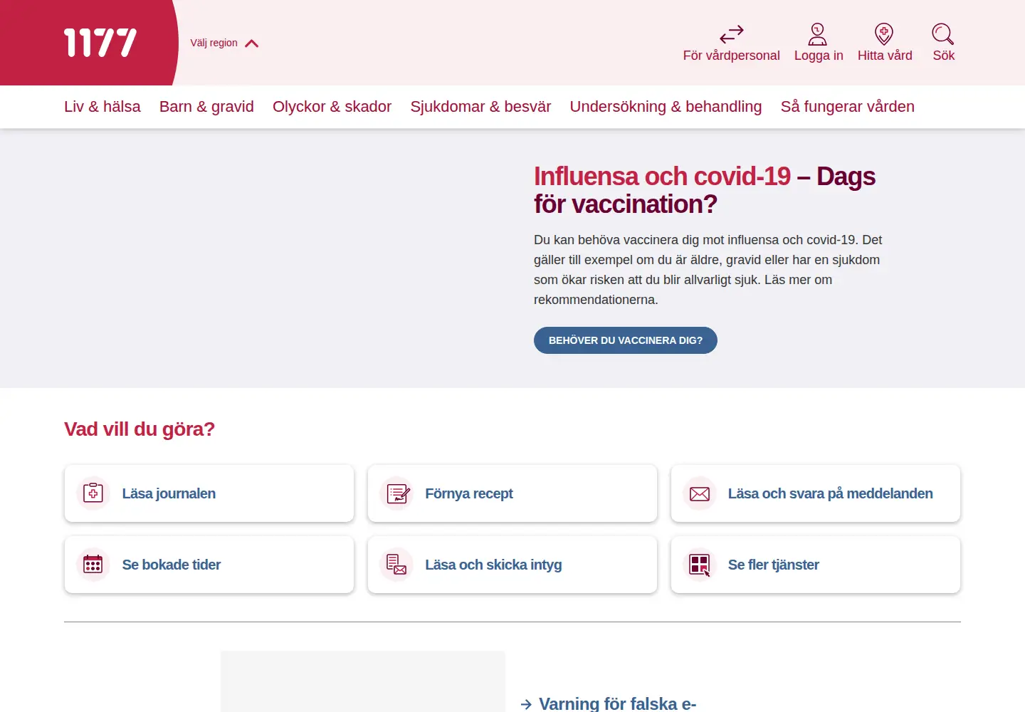Captured homepage of vardguiden.se in the current scan