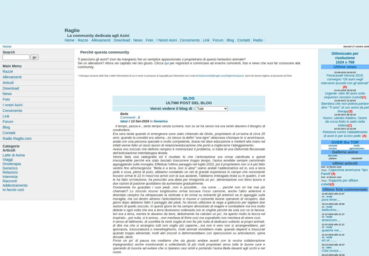 Captured homepage of raglio.com in the current scan