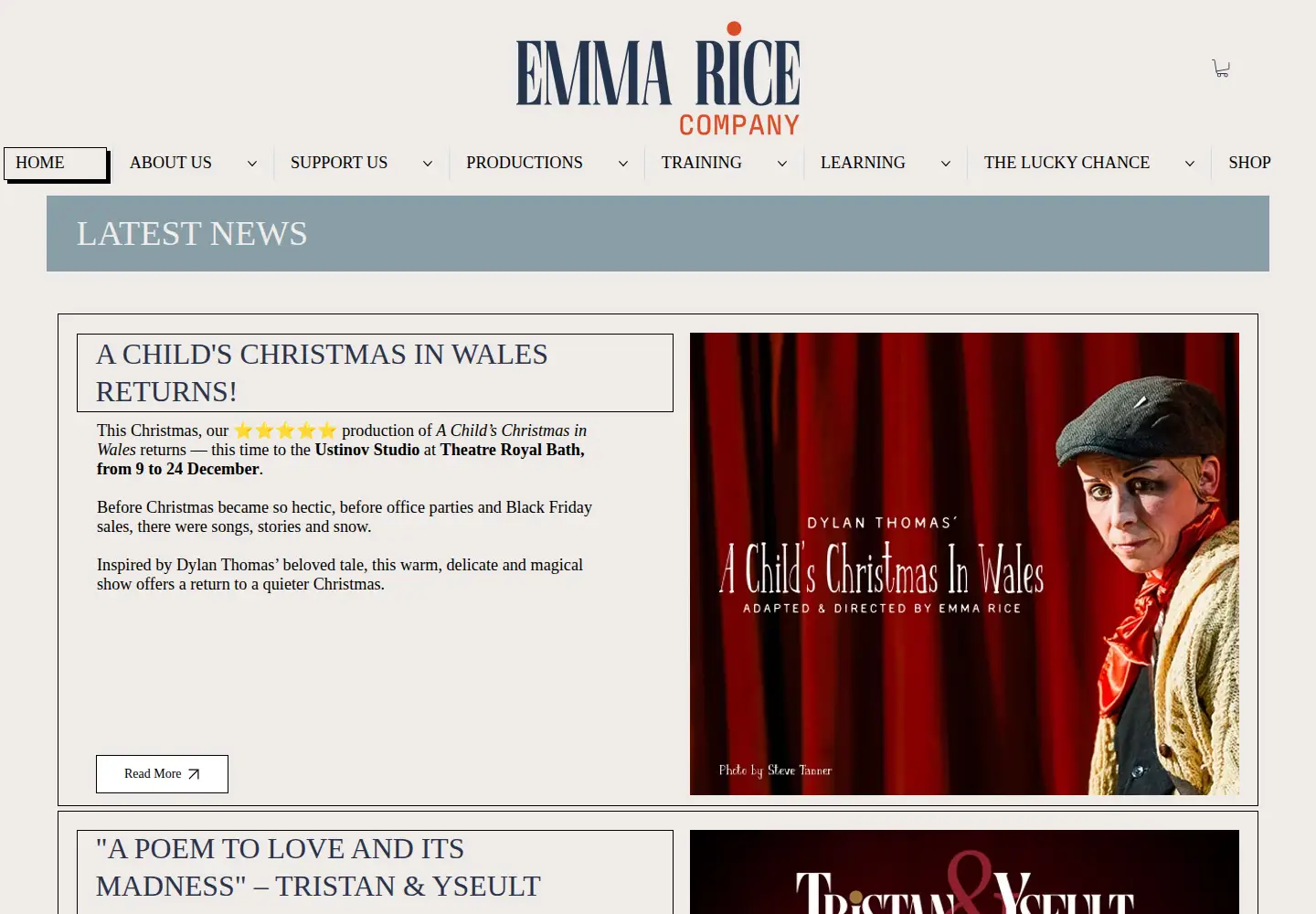 Screenshot of wisechildren.co.uk