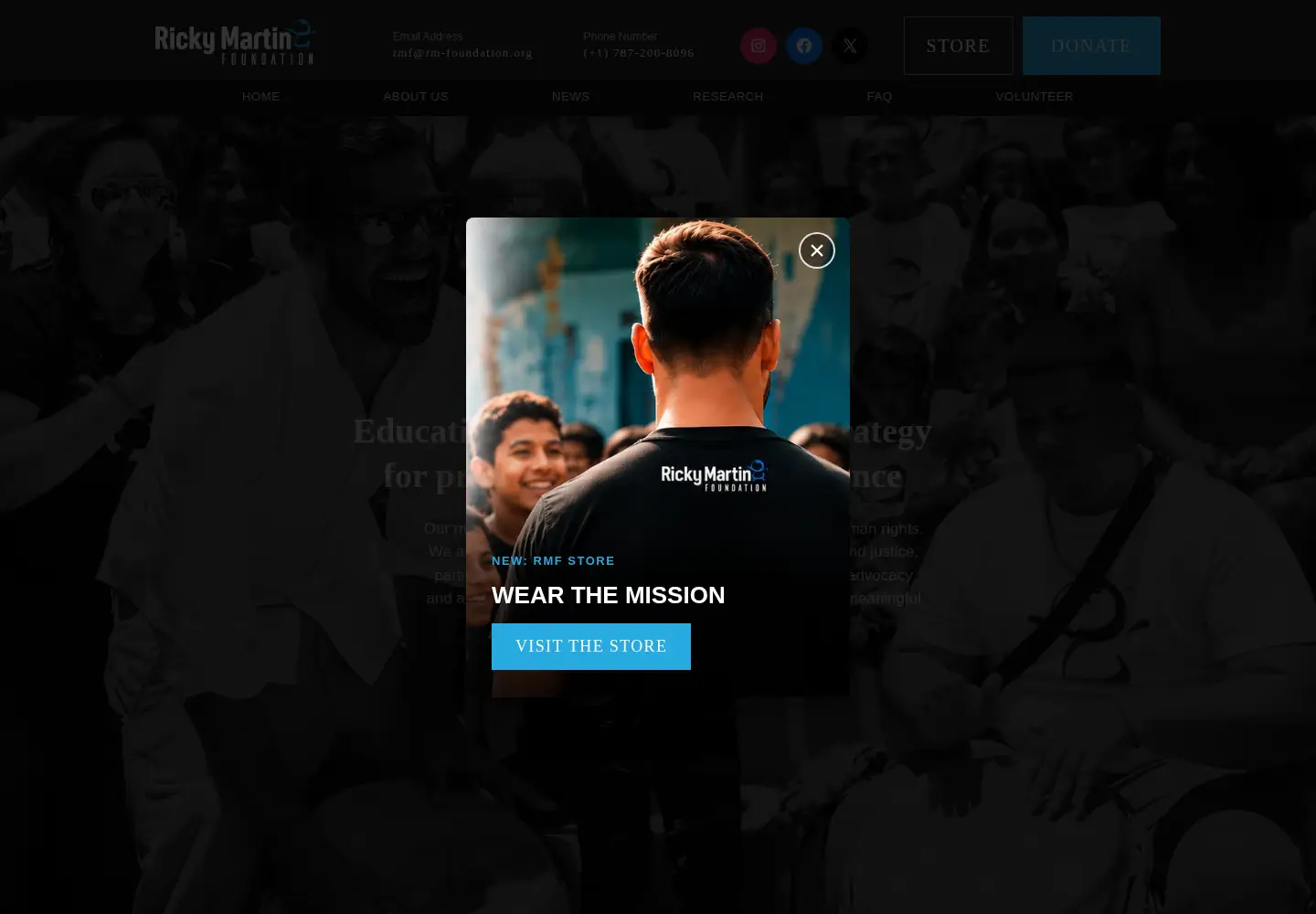 Screenshot of rickymartinfoundation.org