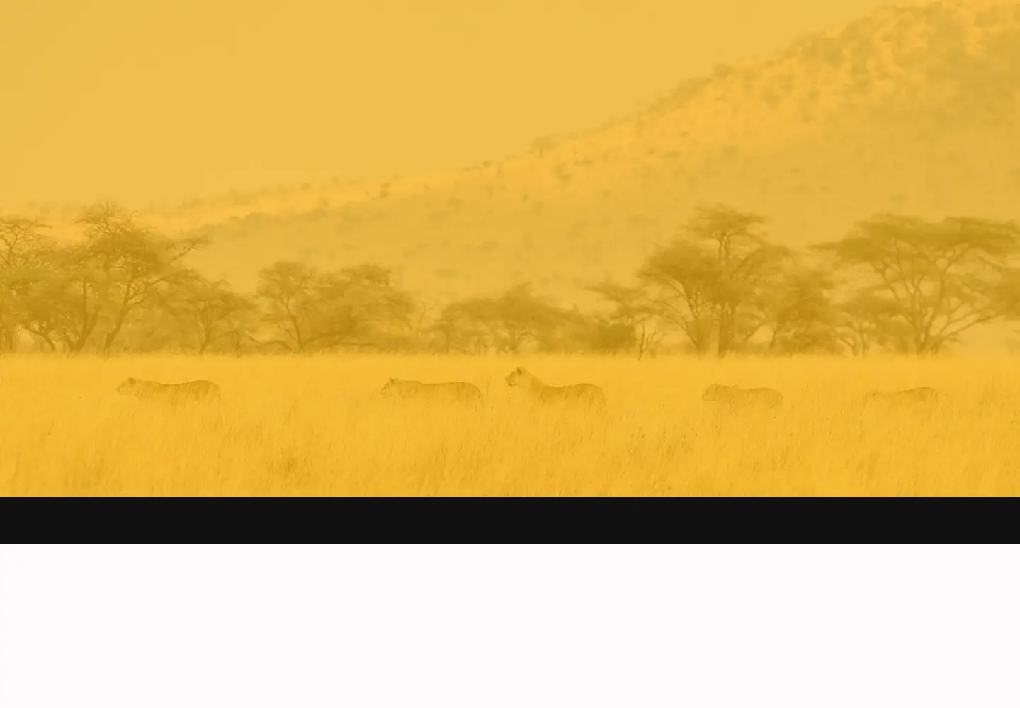 Screenshot of wildlifebiology.com