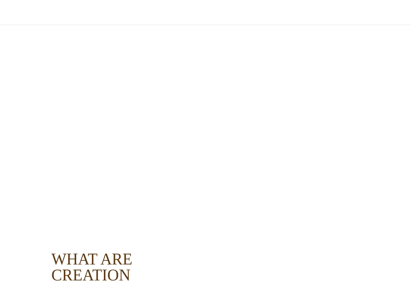Screenshot of creationsafaris.com