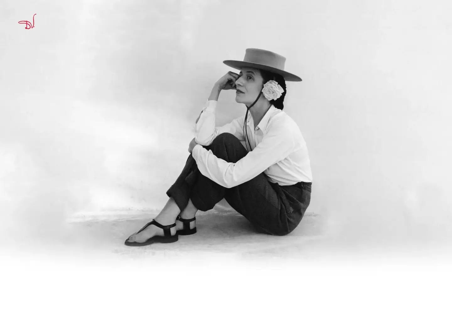 Screenshot of dianavreeland.com