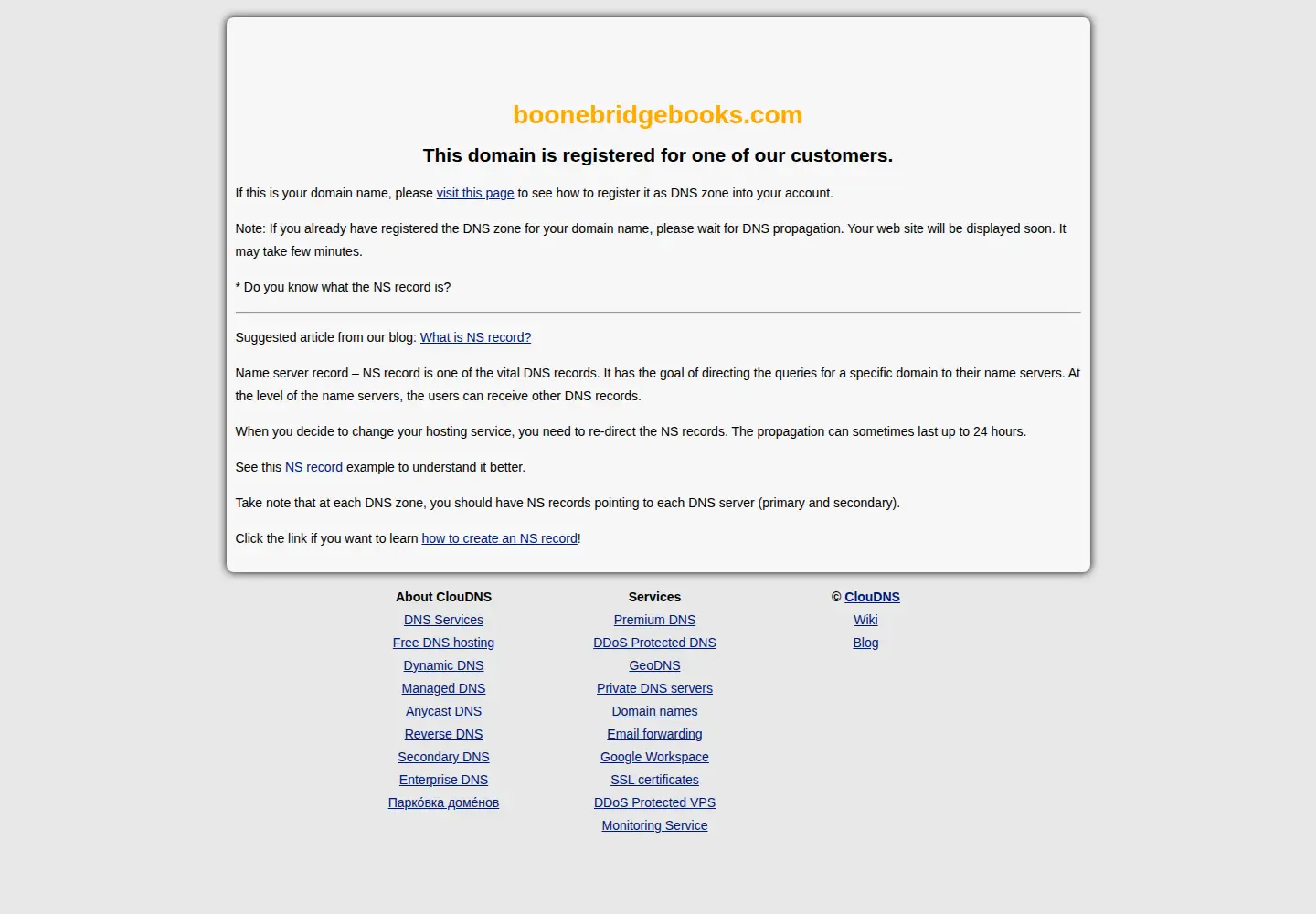Screenshot of boonebridgebooks.com