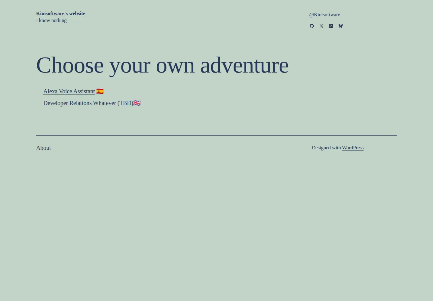 Screenshot of kinisoftware.com