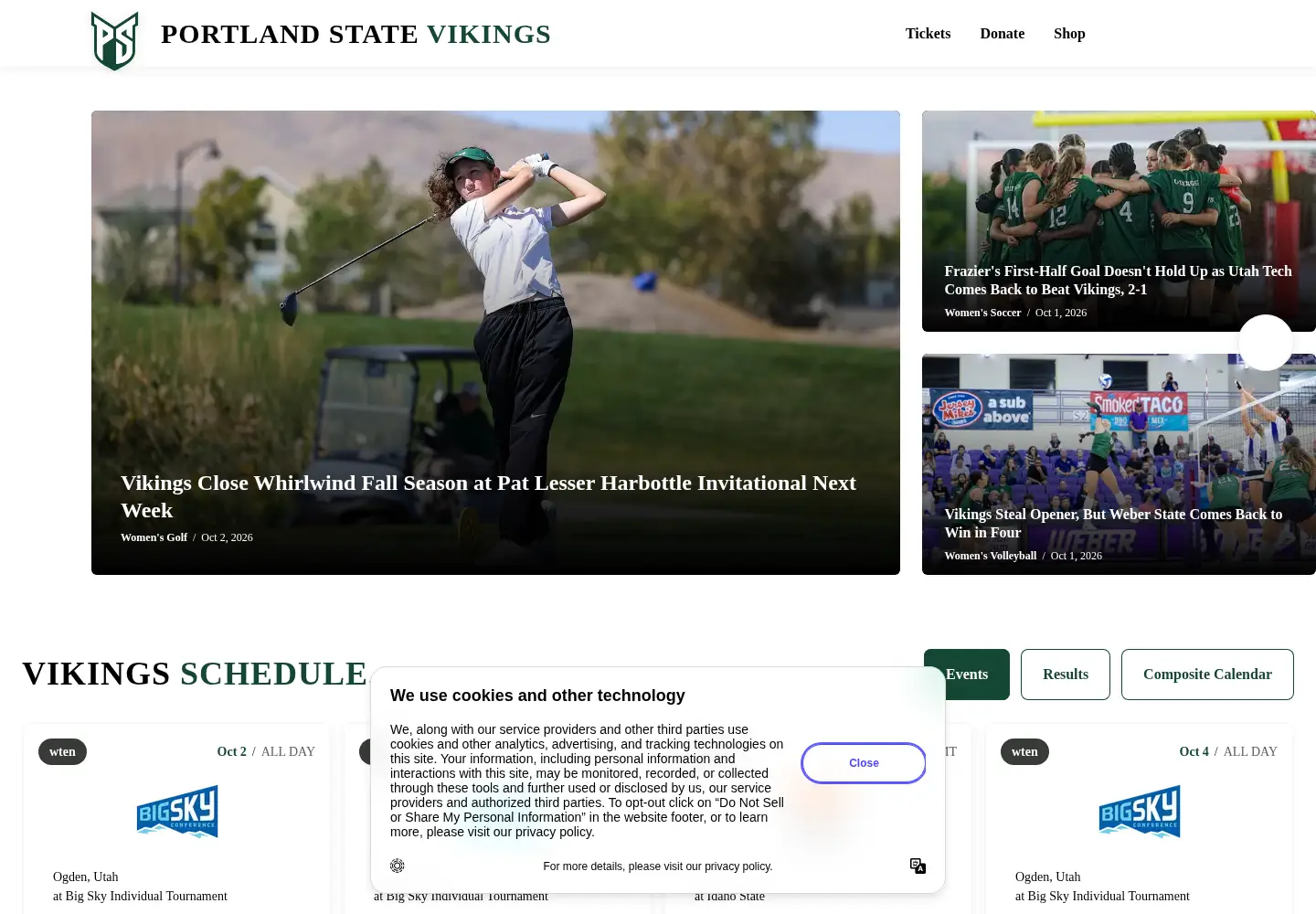 Screenshot of goviks.com
