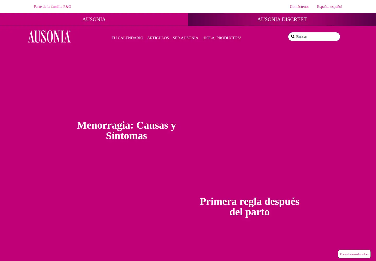Screenshot of ausonia.es