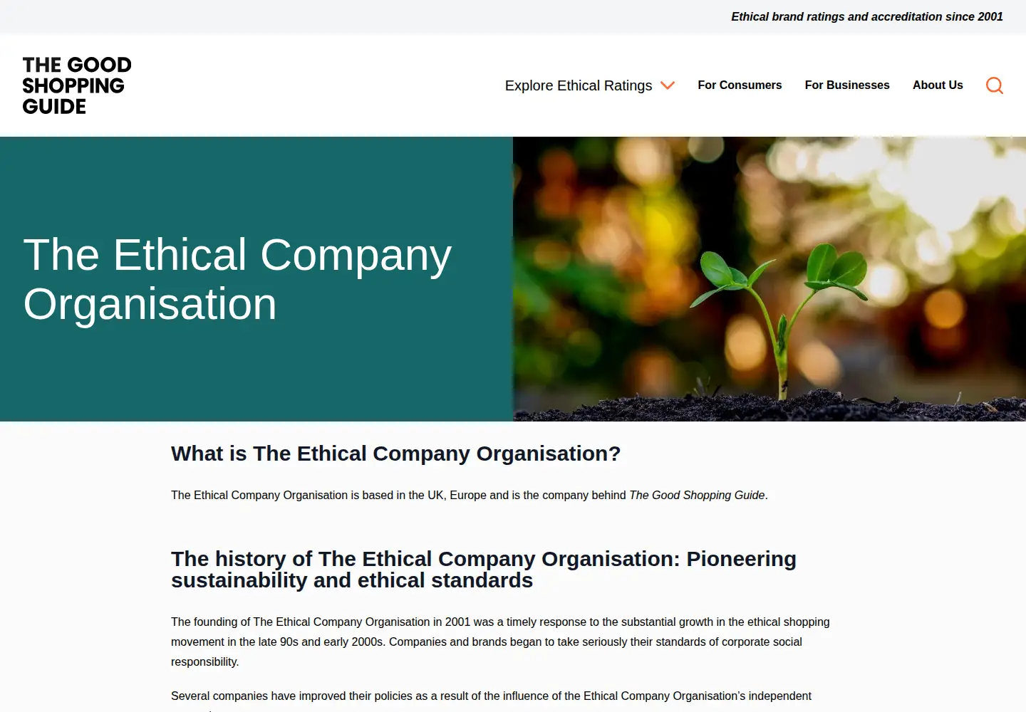 Screenshot of ethical-company-organisation.org