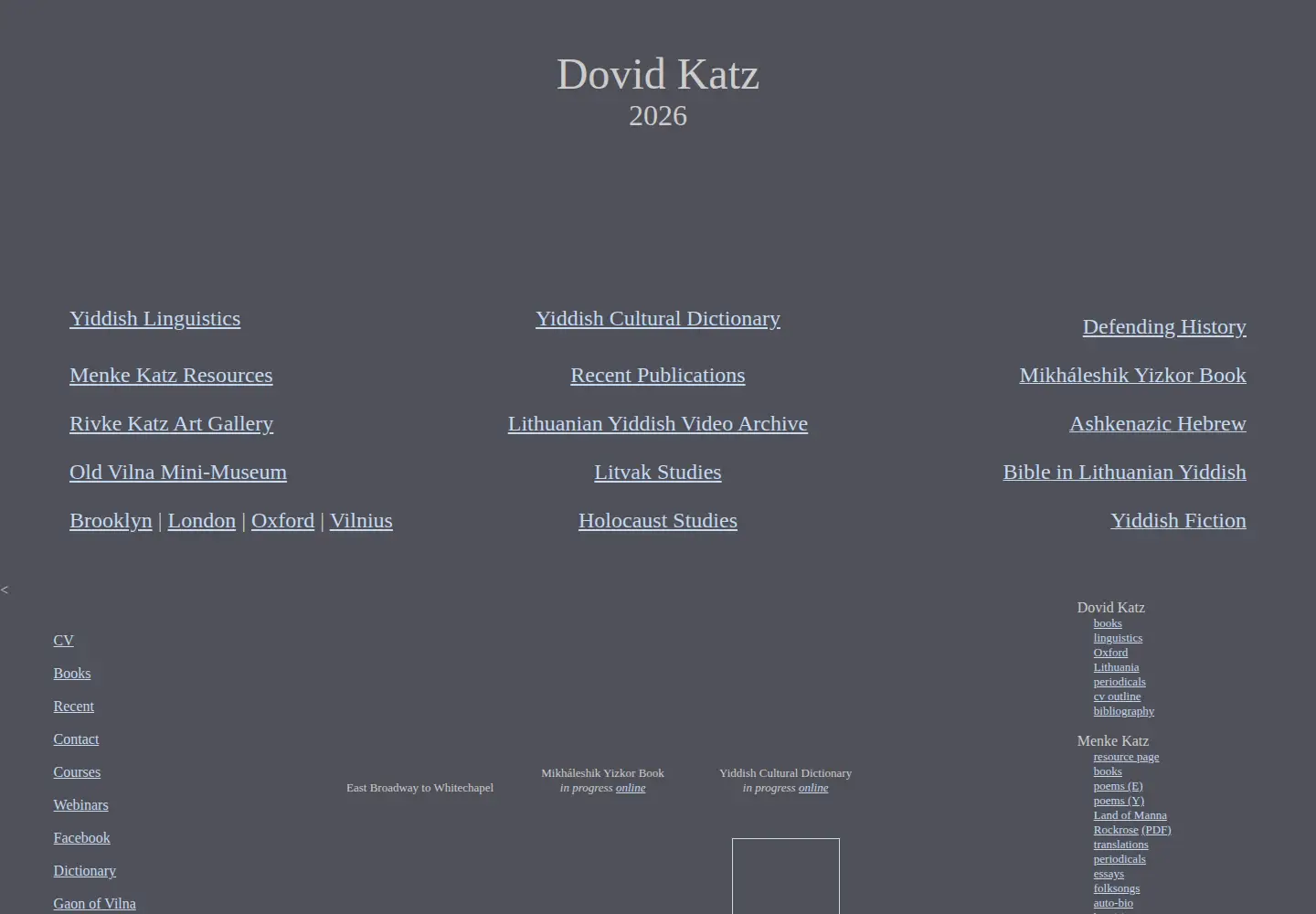 Screenshot of dovidkatz.net