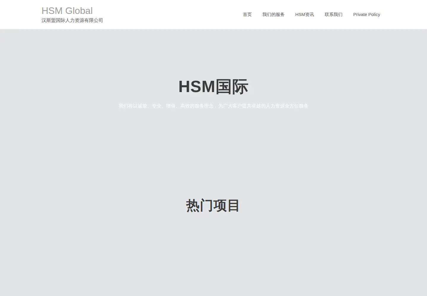 Screenshot of hsmglobal.com