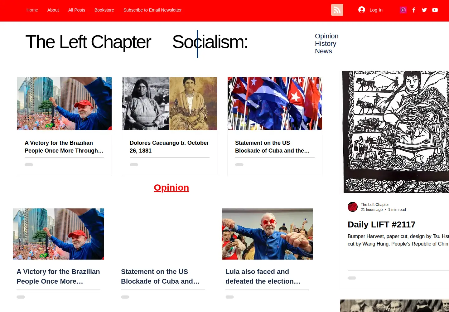 Captured homepage of theleftchapter.com in the current scan