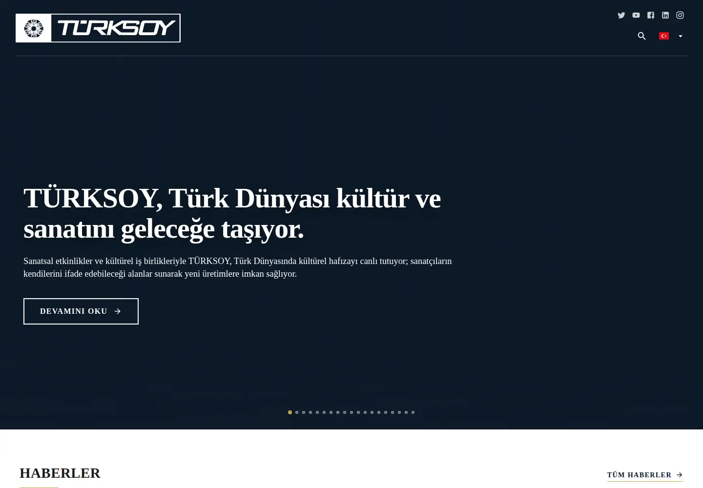 Screenshot of turksoy.org
