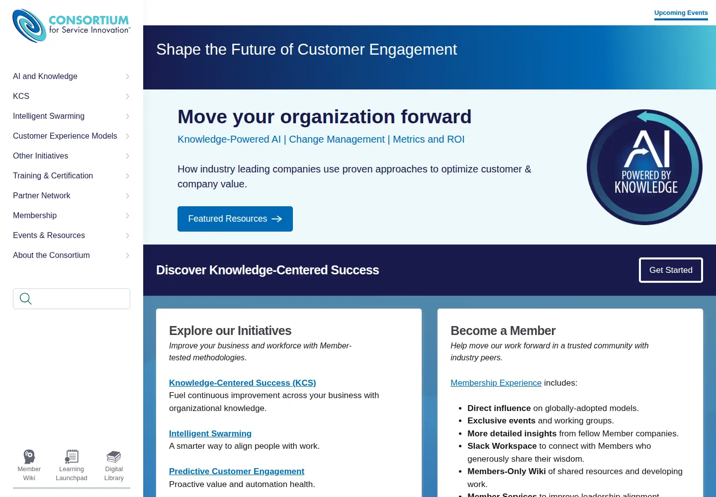 Captured homepage of serviceinnovation.org in the current scan