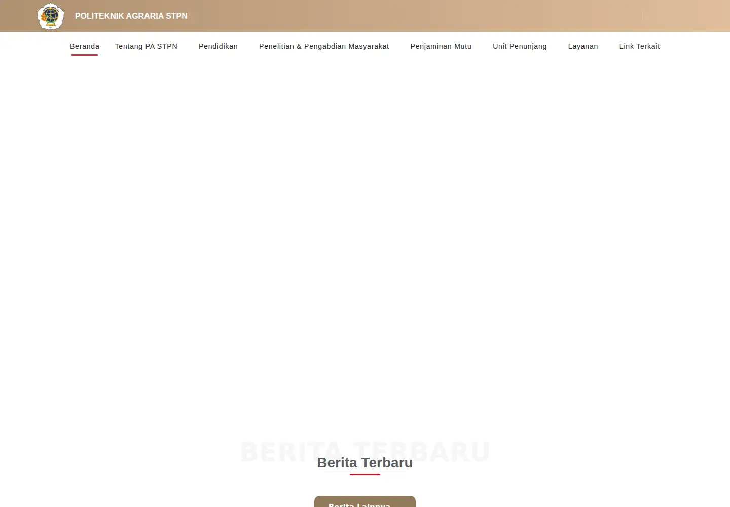 Screenshot of stpn.ac.id