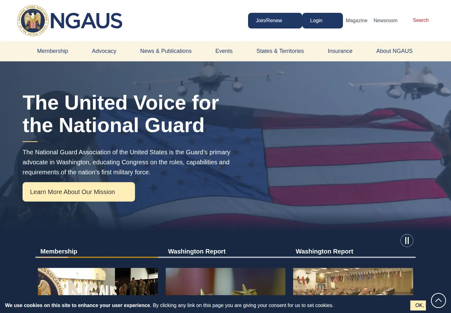 Screenshot of ngaus.org