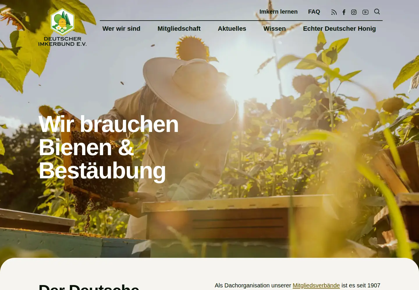 Screenshot of deutscherimkerbund.de