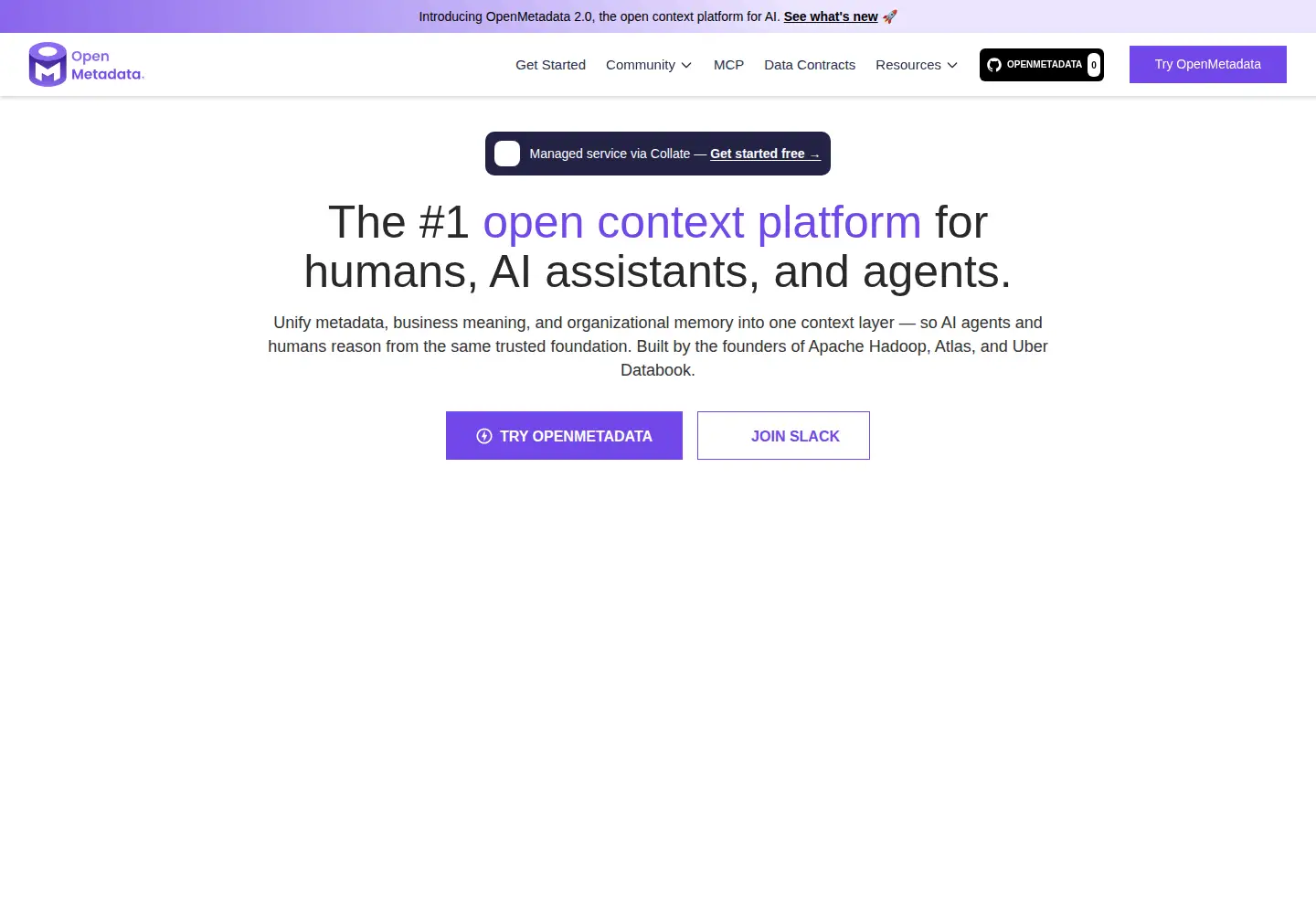 Captured homepage of open-metadata.org in the current scan