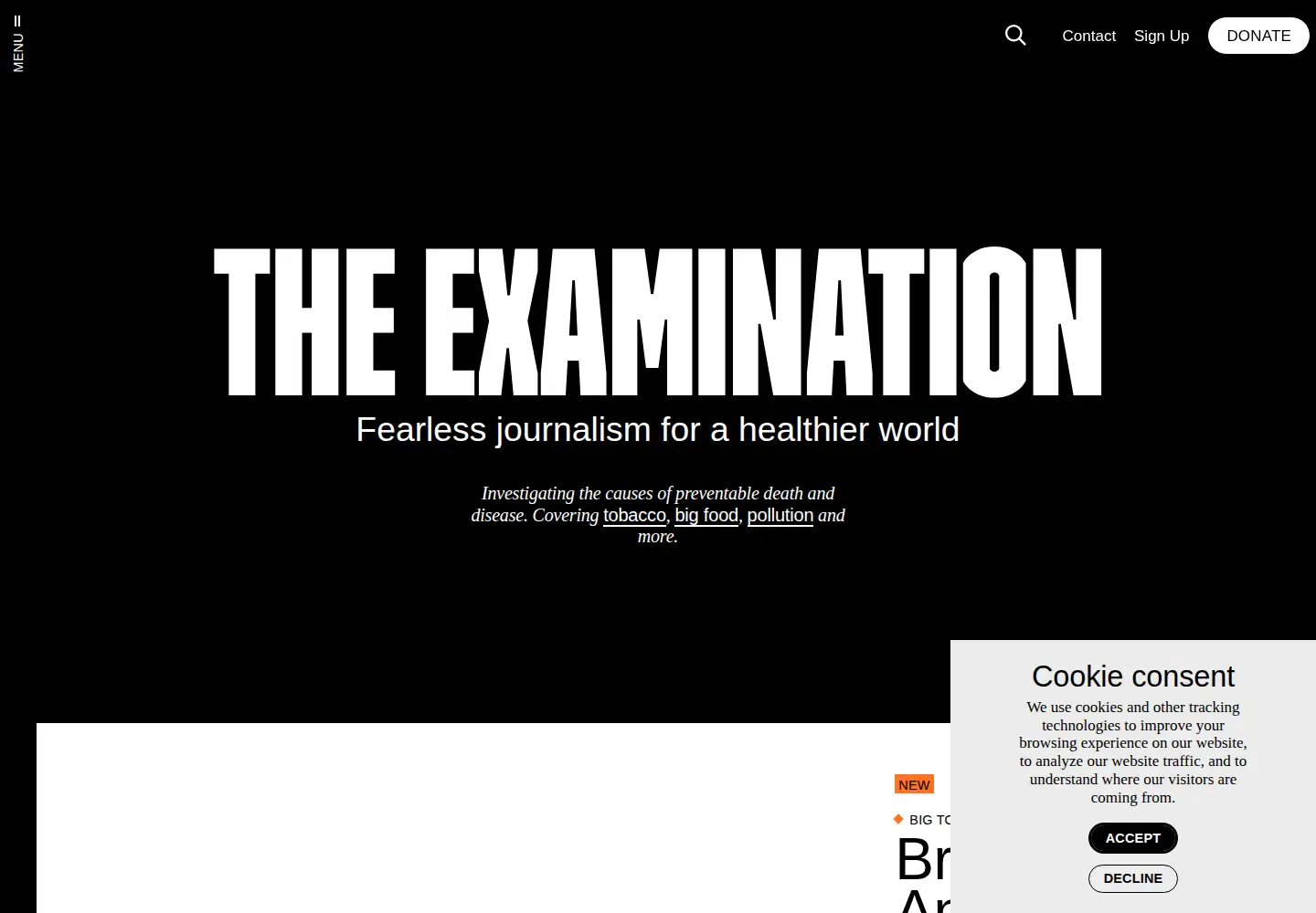 Screenshot of theexamination.org