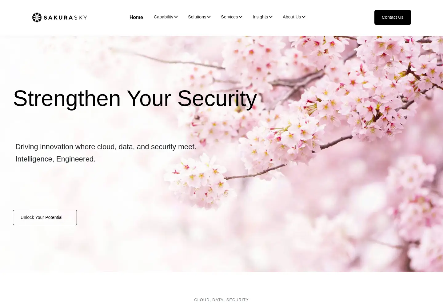 Screenshot of sakurasky.com