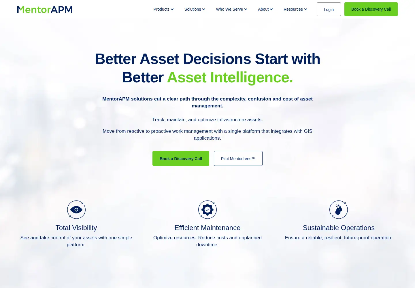 Captured homepage of mentorapm.com in the current scan