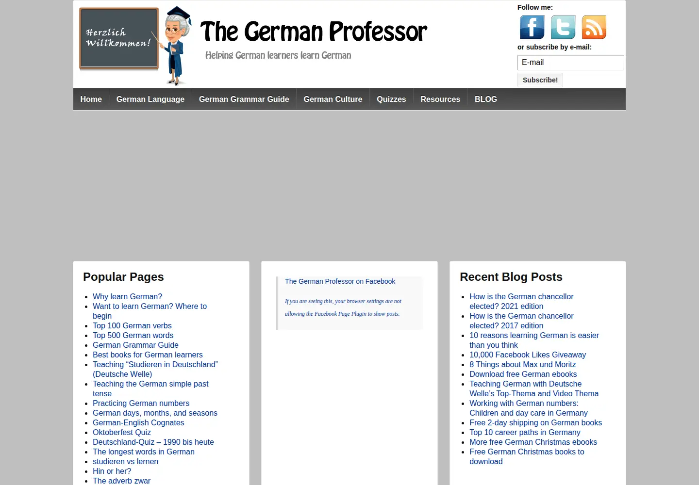 Captured homepage of thegermanprofessor.com in the current scan
