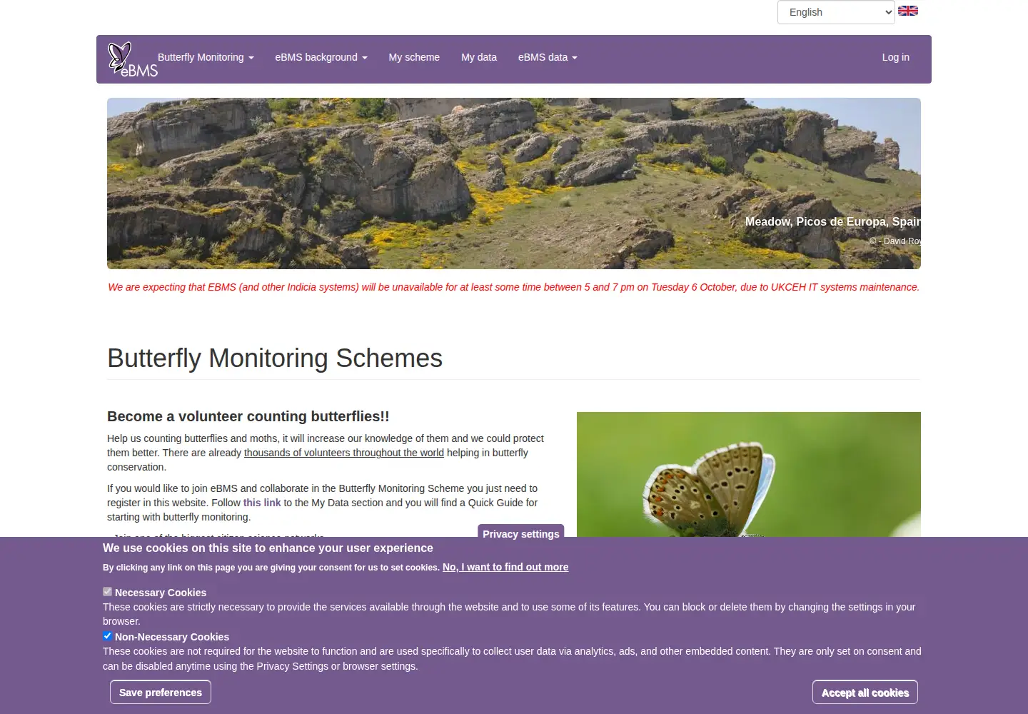 Captured homepage of butterfly-monitoring.net in the current scan