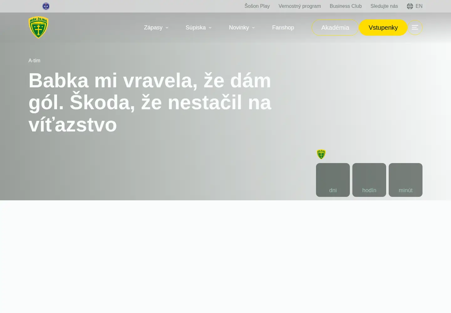 Screenshot of mskzilina.sk