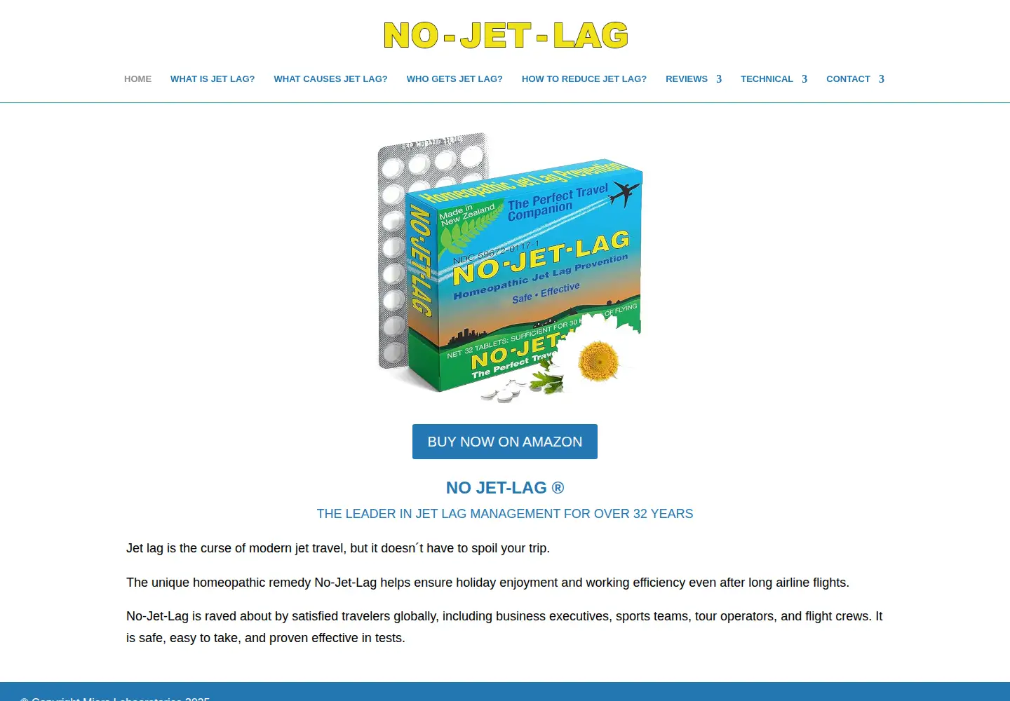 Captured homepage of nojetlag.com in the current scan