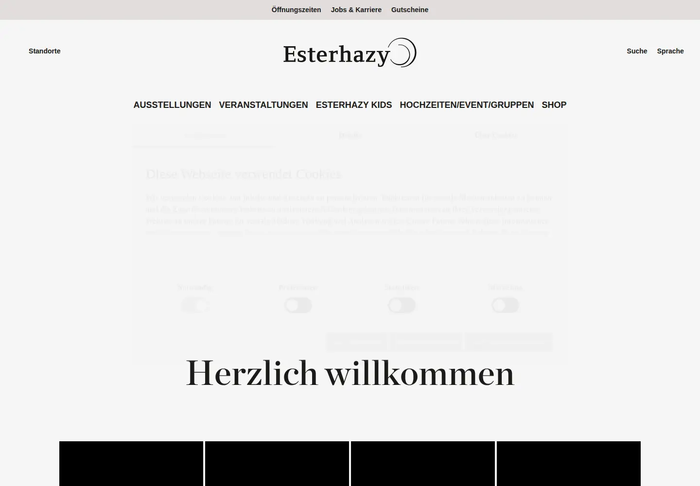 Captured homepage of esterhazy.at in the current scan