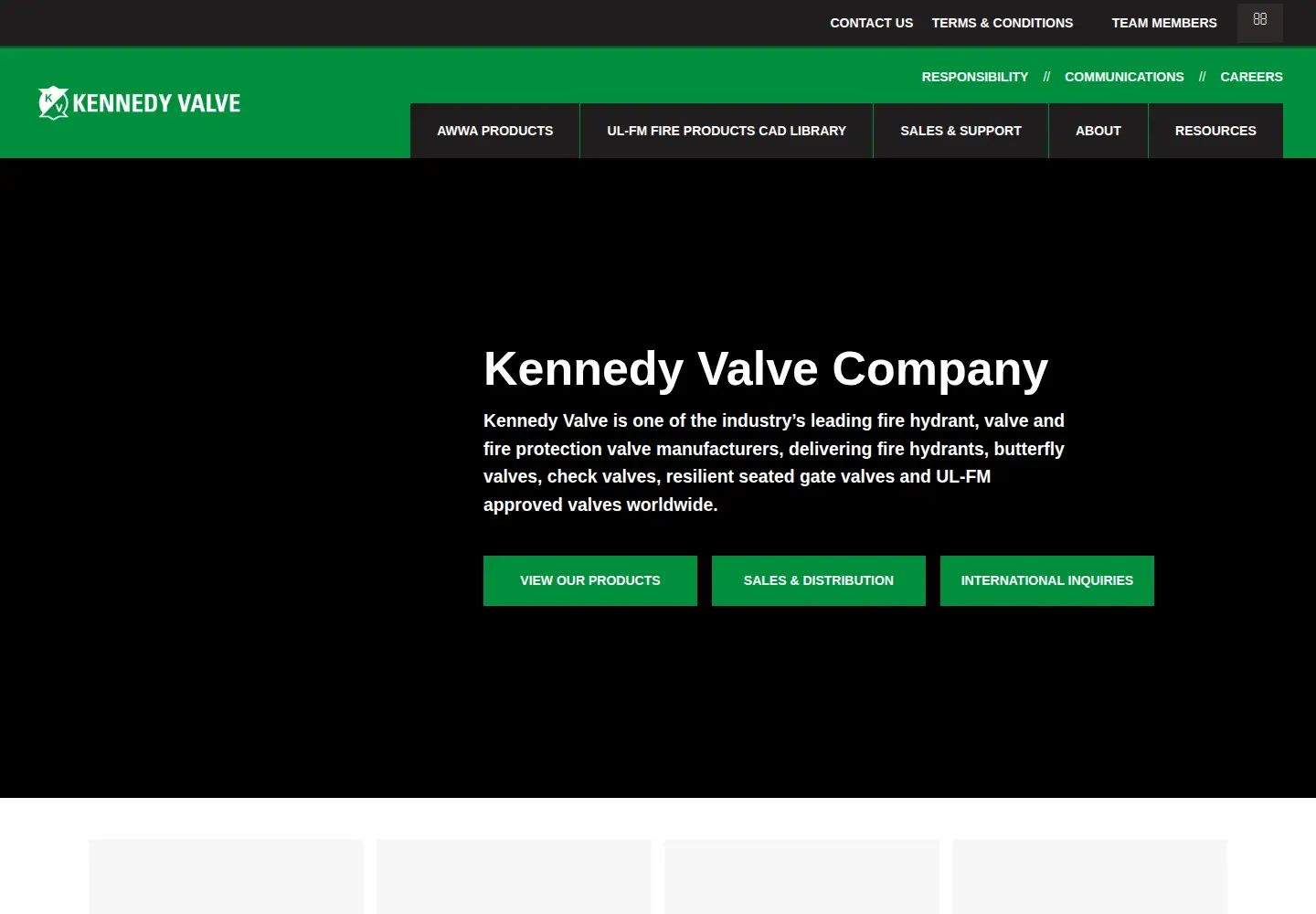 Captured homepage of kennedyvalve.com in the current scan