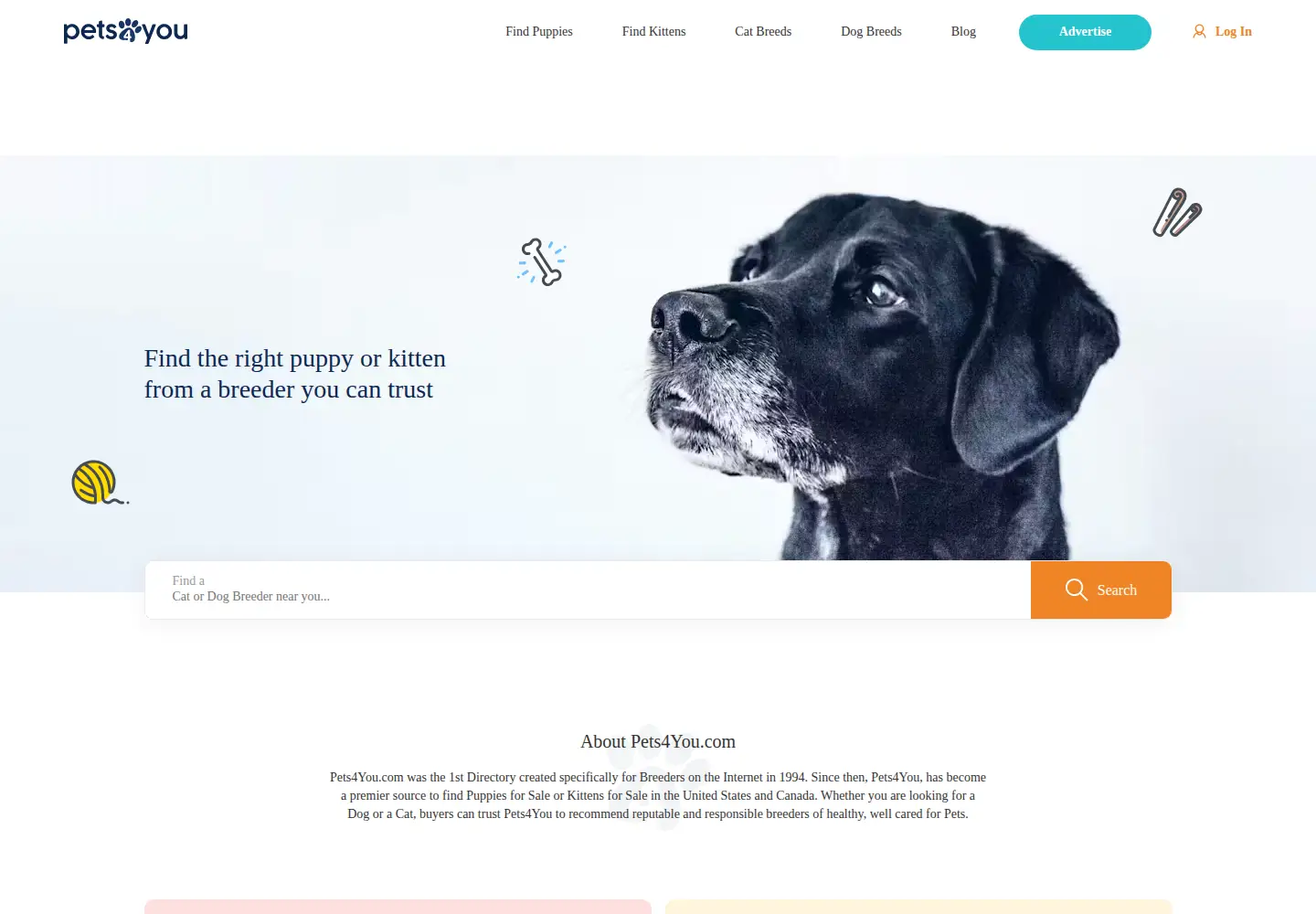 Screenshot of pets4you.com