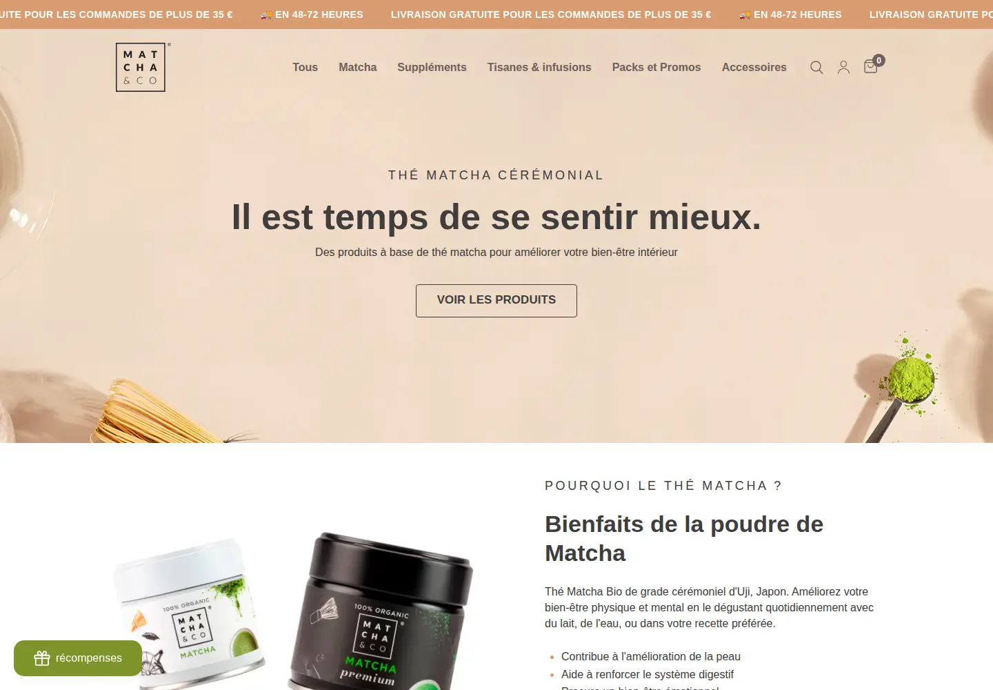 Captured homepage of matchaandco.com in the current scan
