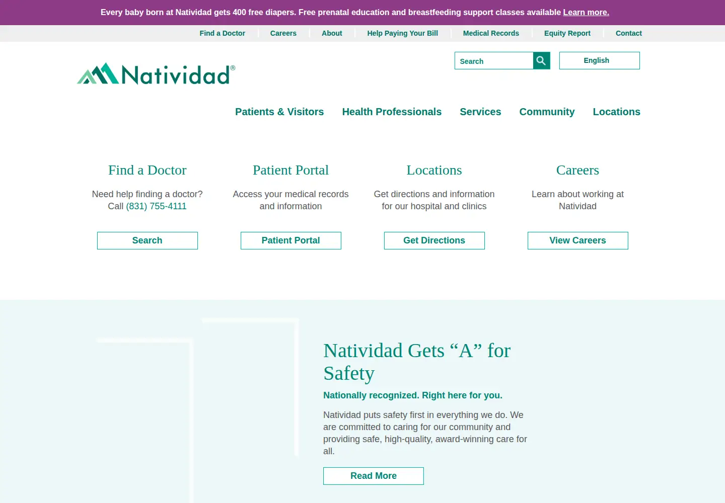 Screenshot of natividad.com